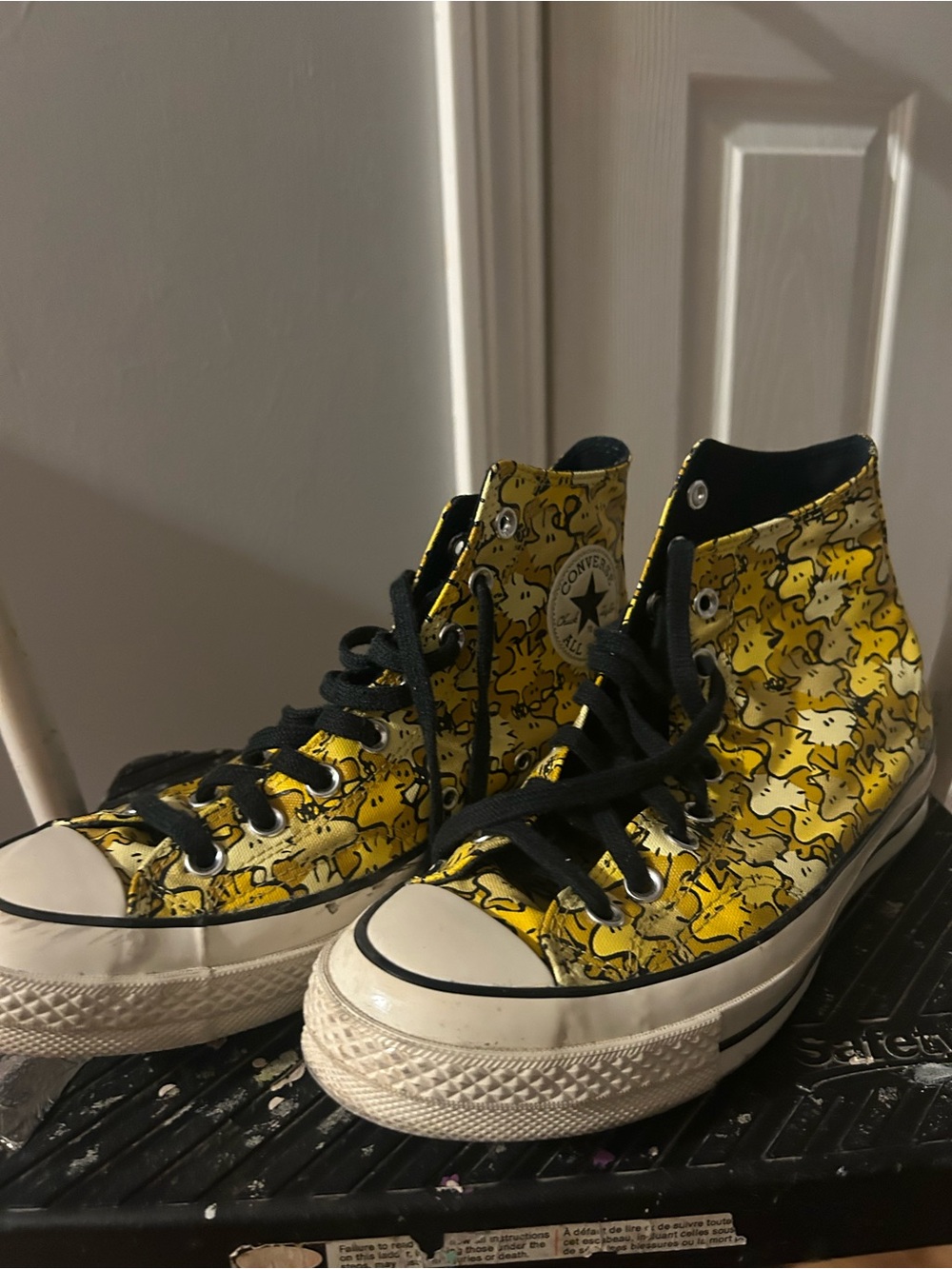 Snoopy Limited Edition Converse High Top